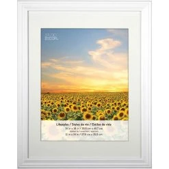 Buy ✔️ 4 Packs: 2 ct. (8 total) White 11" x 14" Frame with Mat, Lifestyles by Studio Décor® by Studio Decor ❤️