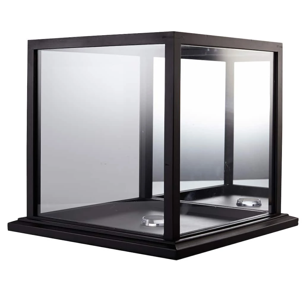 Discount 𧨠Basketball Display Case by Studio Décor® by Studio Decor π 2 Discount 𧨠Basketball Display Case by Studio Décor® by Studio Decor π - Image 2