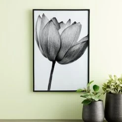 Best Pirce 🌟 Black Multipurpose Frame, Basics By Studio Décor® by Studio Decor ❤️ -Studio Decor Shop 10477545 20 1