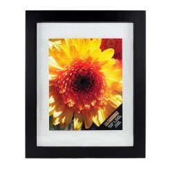 Best Sale 🥰 8 Pack: Black 11" x 14" Float Frame by Studio Décor® by Studio Decor 👏
